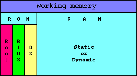  Division of working memory 