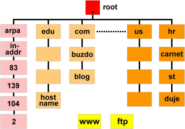  DNS structure 